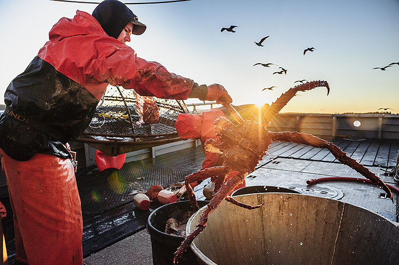 Southeast, Alaska Red King Crab…. – CSM Photos' Blog